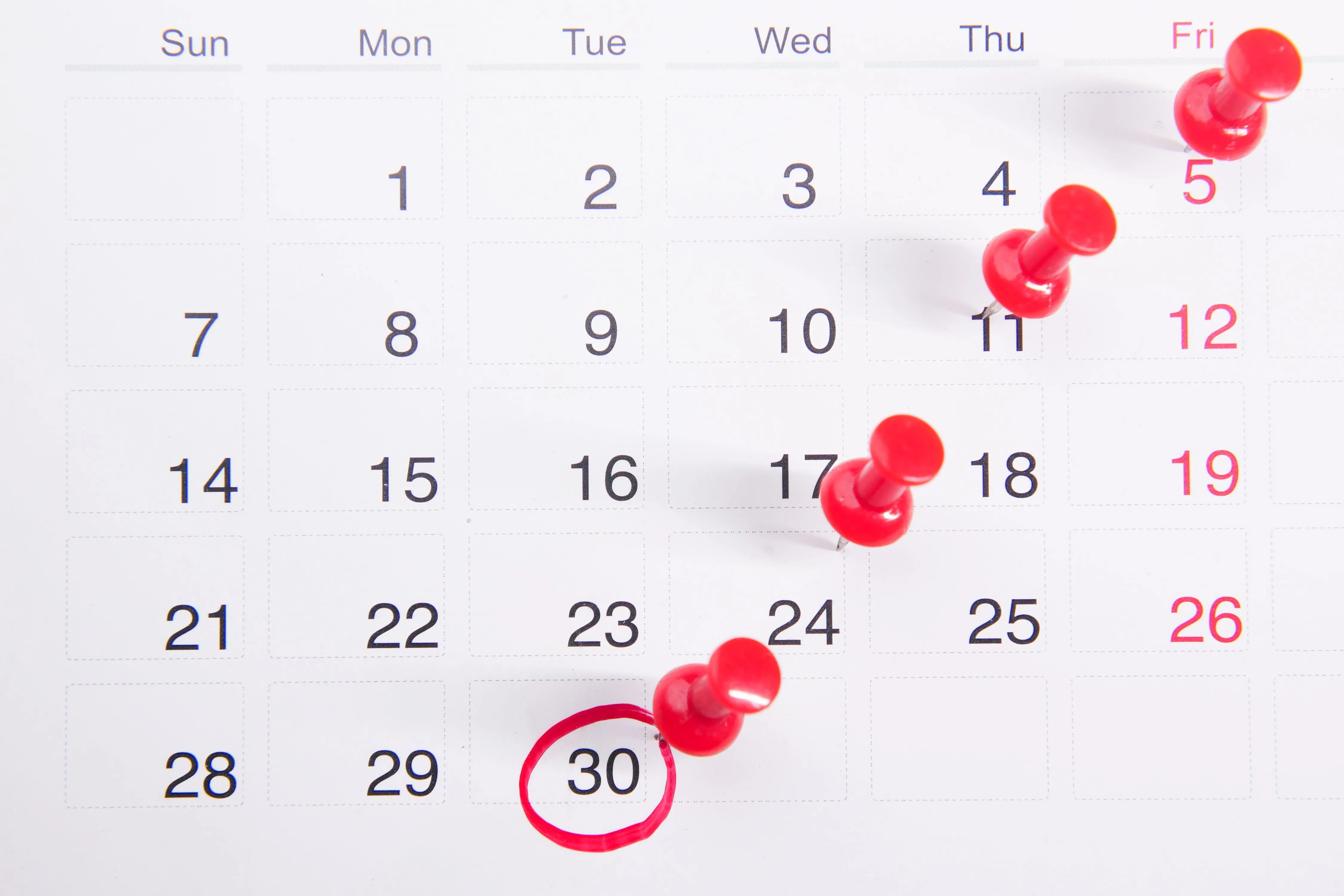 A calendar with red pushpins.