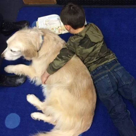 Read to a Therapy Dog