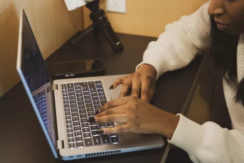 Online Job Searching