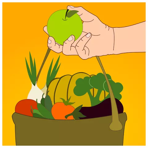 Explore the Mediterranean Diet