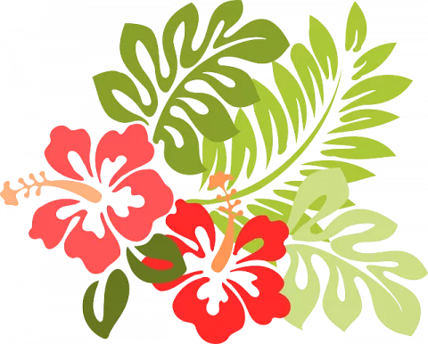 Halau i Ka Pono Performance