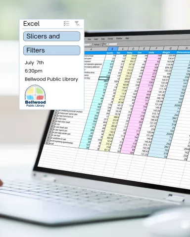 Excel: Slicers and Filters