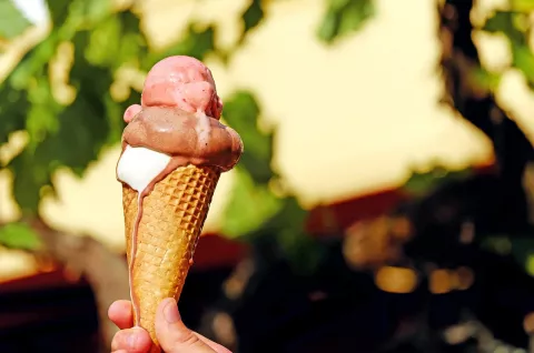 Ice Cream Social