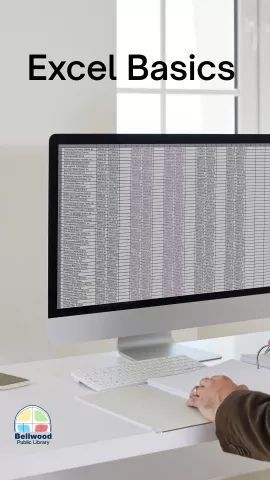 Excel Basics