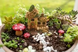 Fairy Gardens