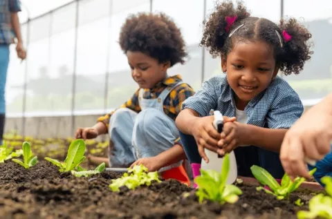 Plant a Seed