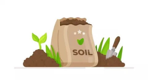 Soil Art