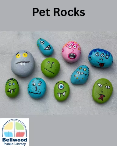 Pet Rocks